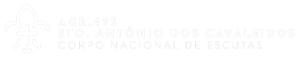 Agrupamento 495